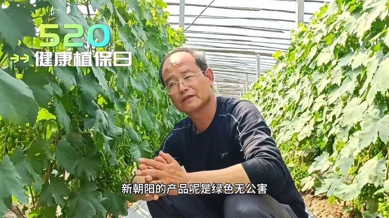 520健康植保日——擁抱綠色農業(yè)，我們在行動